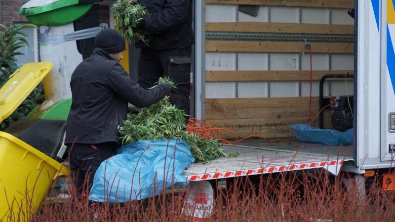 Wietplantage in woning ontruimd