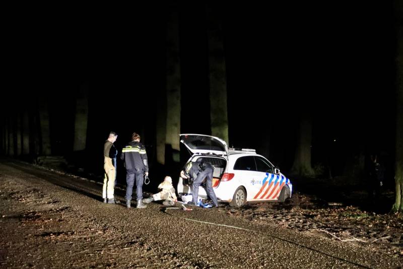 Politieauto rijdt zichzelf vast in bosgebied