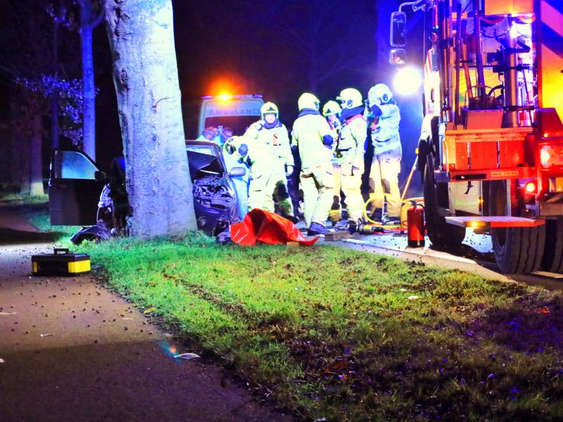 Auto knalt op boom
