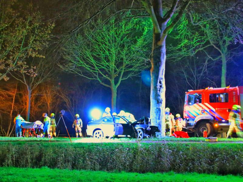 Auto knalt op boom