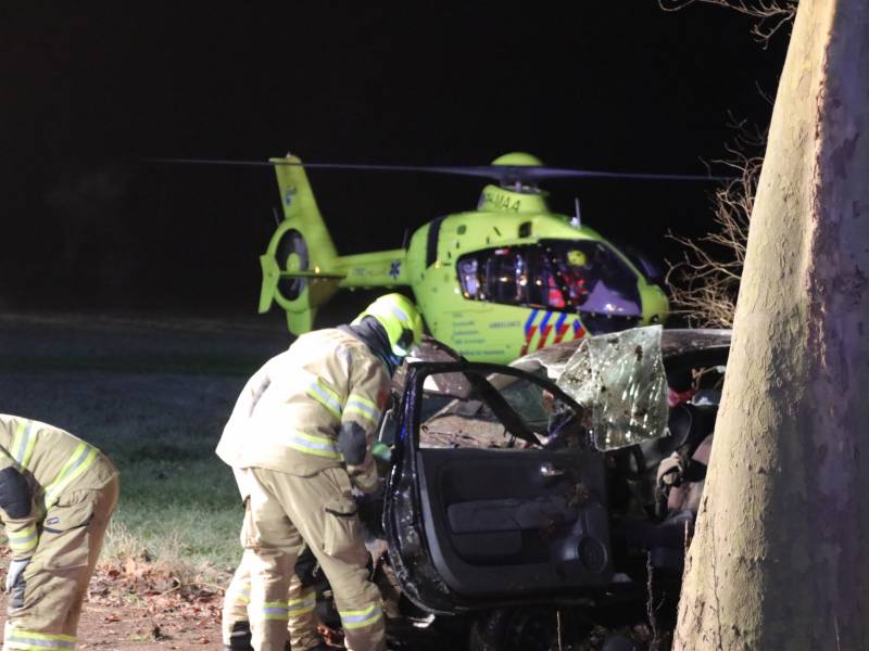 Zwaargewonde na eenzijdige botsing tegen boom