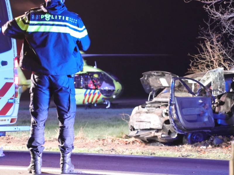Zwaargewonde na eenzijdige botsing tegen boom