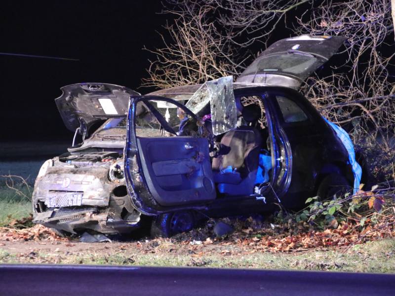 Zwaargewonde na eenzijdige botsing tegen boom