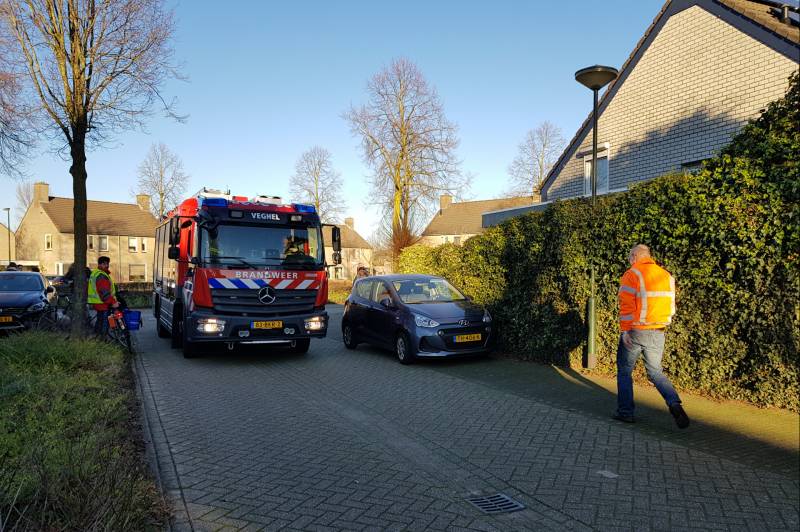 Coniferenhaag vat vlam door vuurwerk