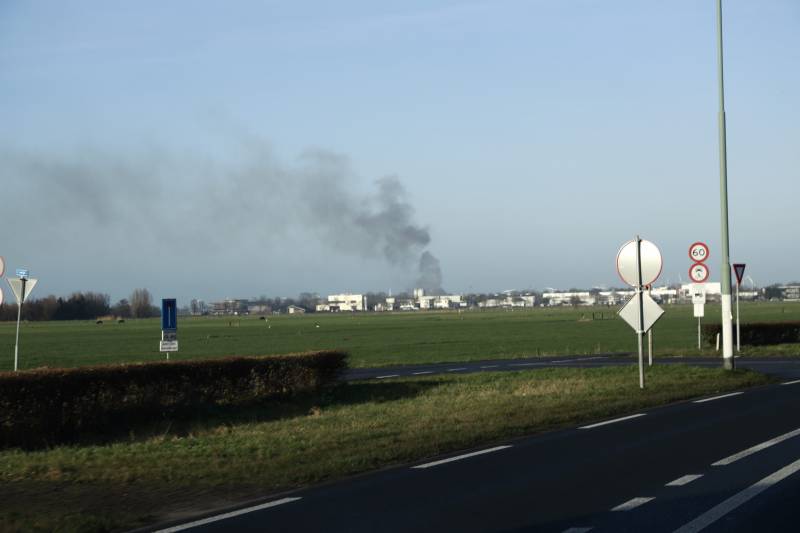 Dikke rookwolken door brand in coniferenhaag