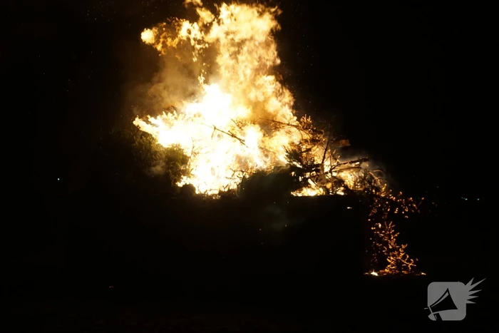 Veel bekijks bij kerstboom verbranding