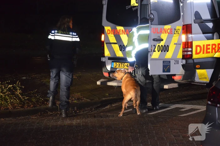 Man van balkon gehaald en aangehouden