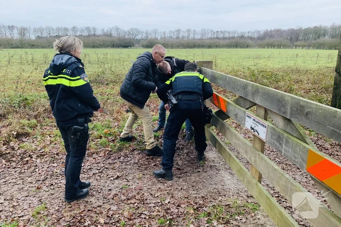 Man aangevallen door stier
