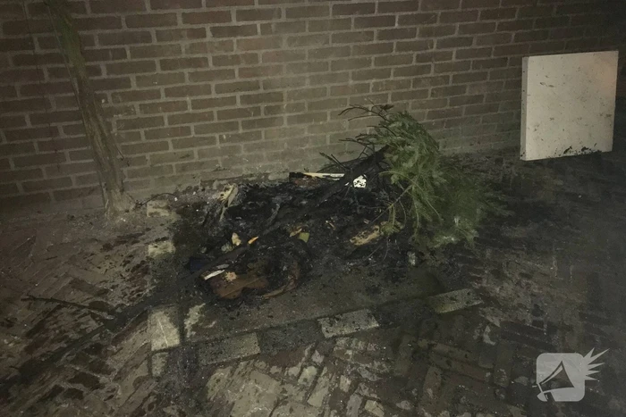 Brandende kerstboom snel geblust