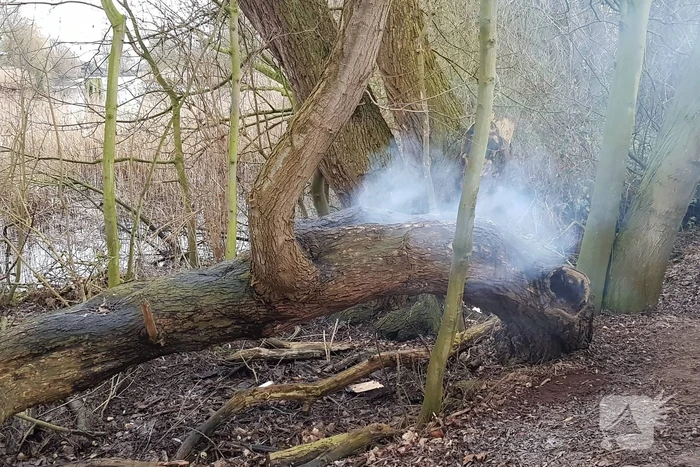 Boom in stukken gezaagd om de kunnen blussen