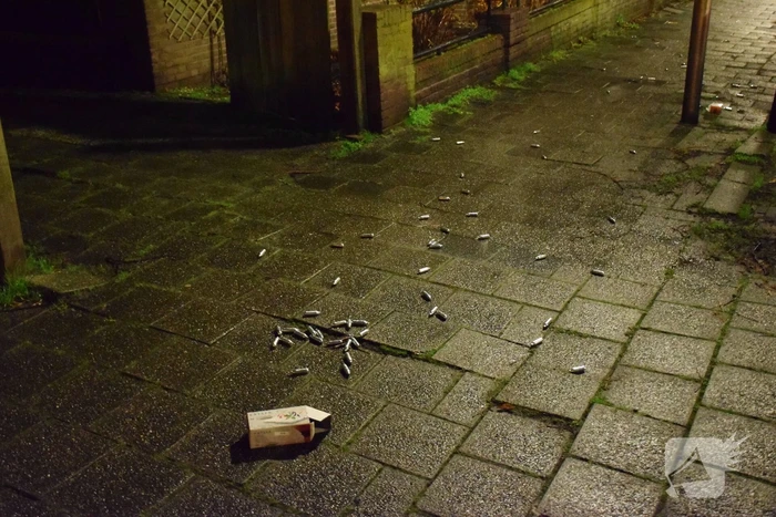 Ravage na politie achtervolging