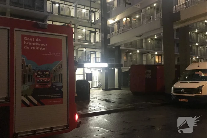 nieuws de bird leeuwarden