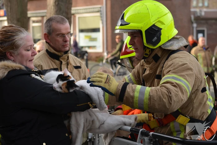 Brandweer redt kat uit dakgoot