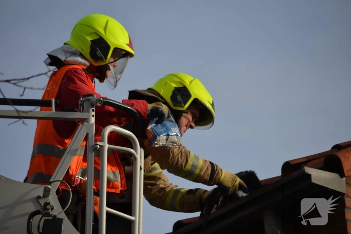 Brandweer redt kat uit dakgoot