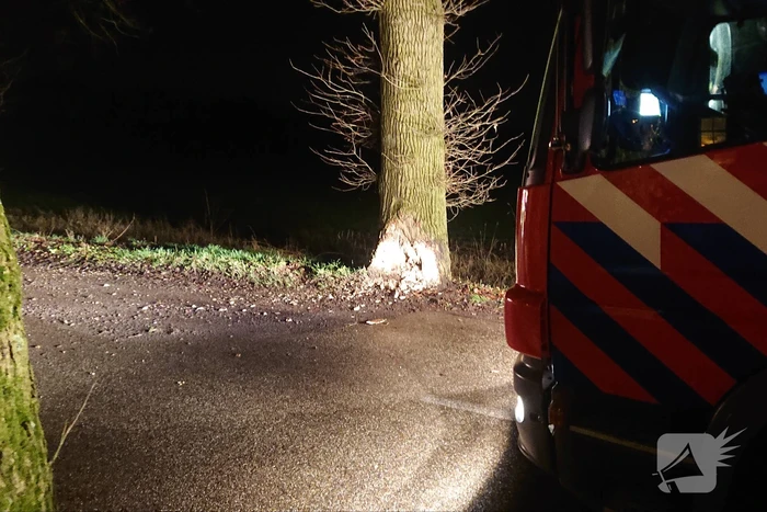 Persoon ernstig gewond na aanrijding met meerdere bomen