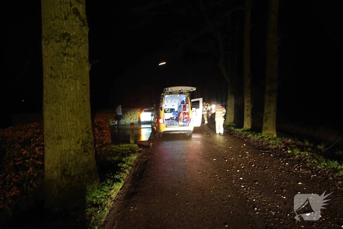 Persoon ernstig gewond na aanrijding met meerdere bomen