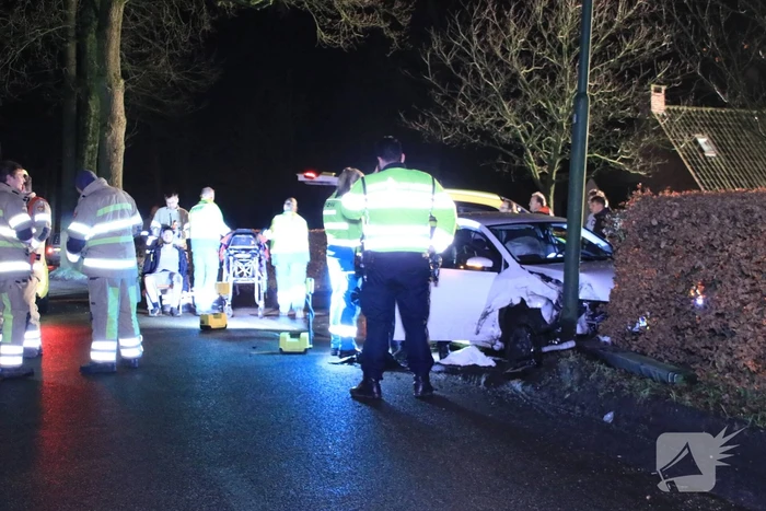 Persoon ernstig gewond na aanrijding met meerdere bomen