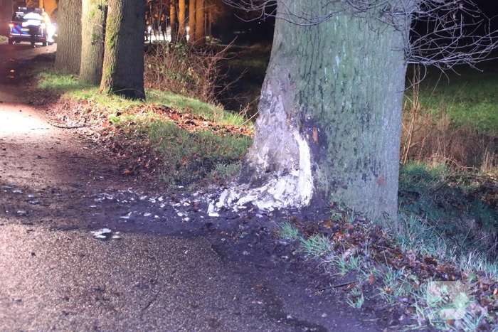 Persoon ernstig gewond na aanrijding met meerdere bomen