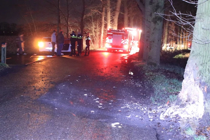 Persoon ernstig gewond na aanrijding met meerdere bomen