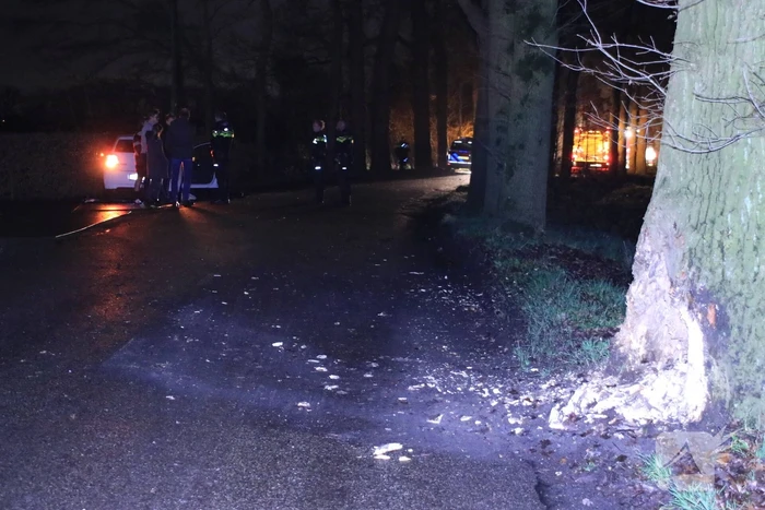 Persoon ernstig gewond na aanrijding met meerdere bomen