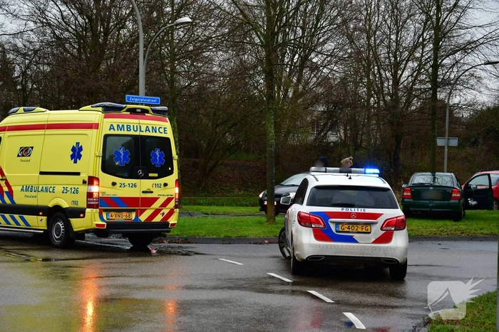 Bestuurster wordt onwel en rijdt tegen boom