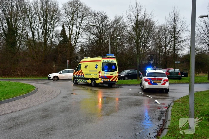 Bestuurster wordt onwel en rijdt tegen boom