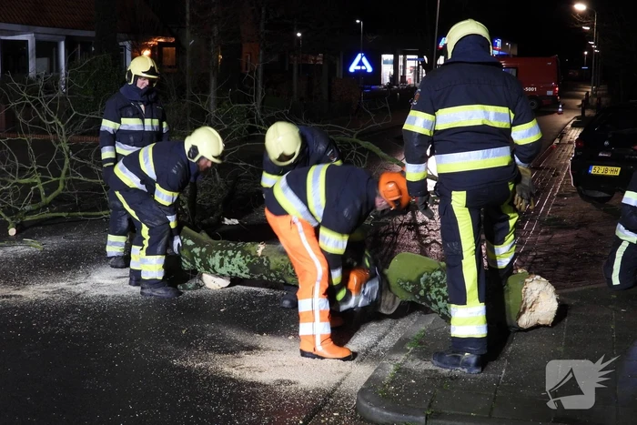 Omgewaaide boom valt op kabels met verlichting