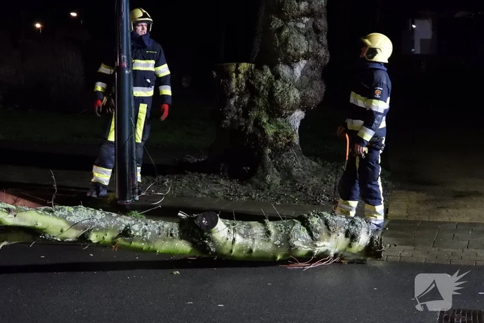 Omgewaaide boom valt op kabels met verlichting