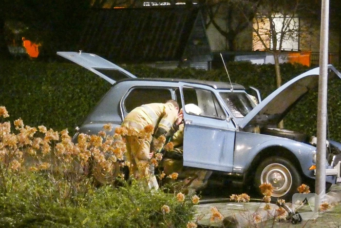 Lelijke eend staat te roken op parkeerplaats