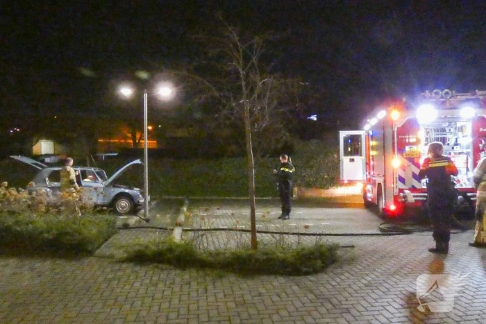 Lelijke eend staat te roken op parkeerplaats