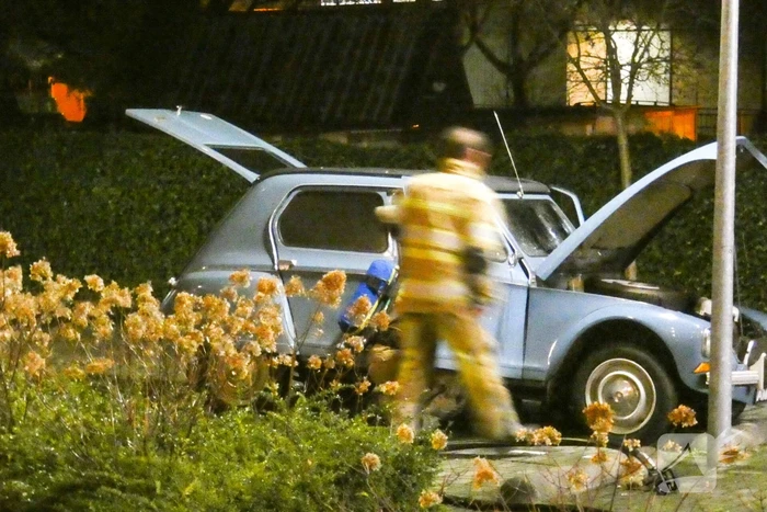 Lelijke eend staat te roken op parkeerplaats
