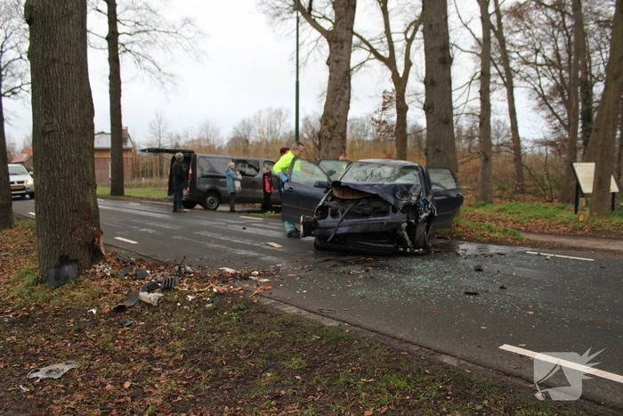 Flinke schade na eenzijdige botsing tegen boom