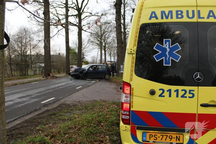 Flinke schade na eenzijdige botsing tegen boom