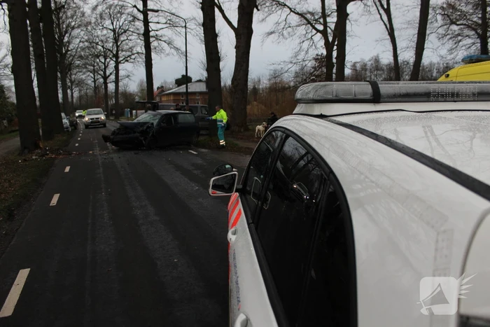Flinke schade na eenzijdige botsing tegen boom