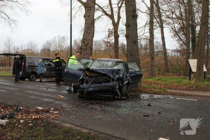 Flinke schade na eenzijdige botsing tegen boom