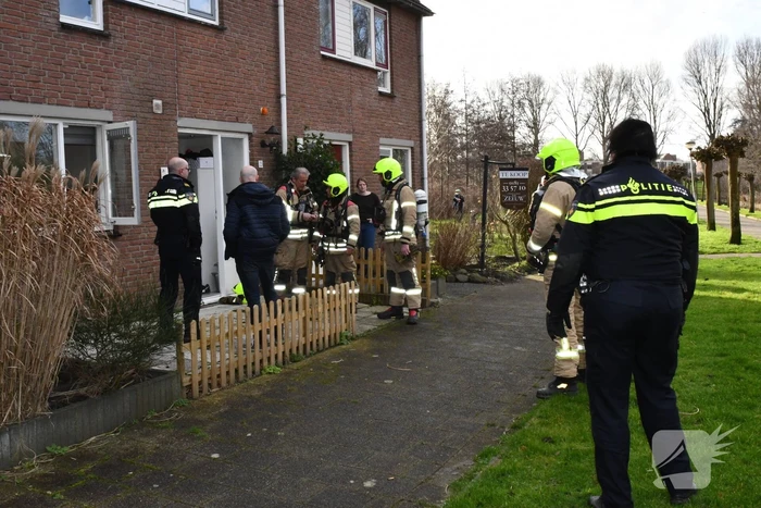 brand koolwitje hellevoetsluis