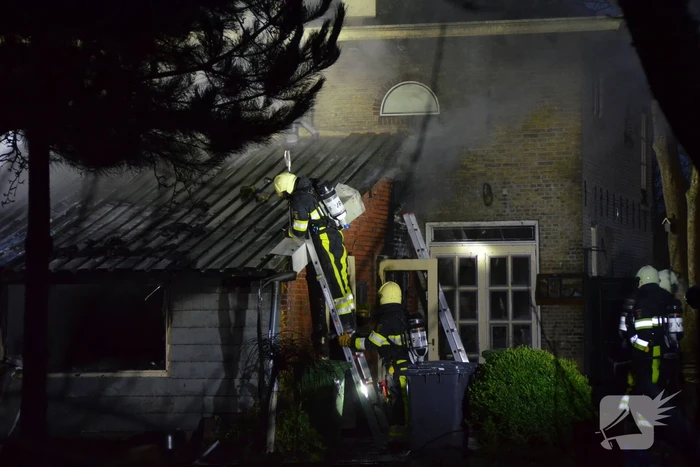 brand ald haven lollum