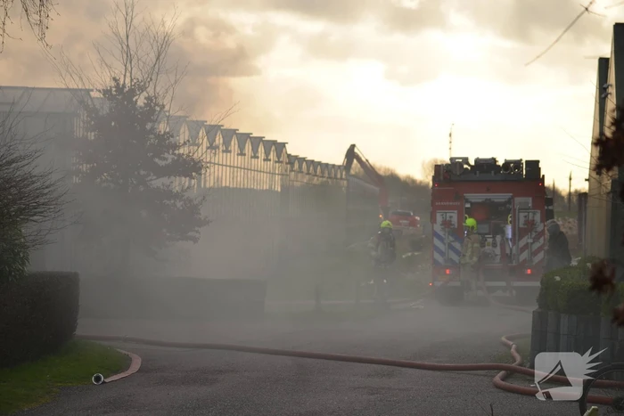 brand wildersekade rotterdam