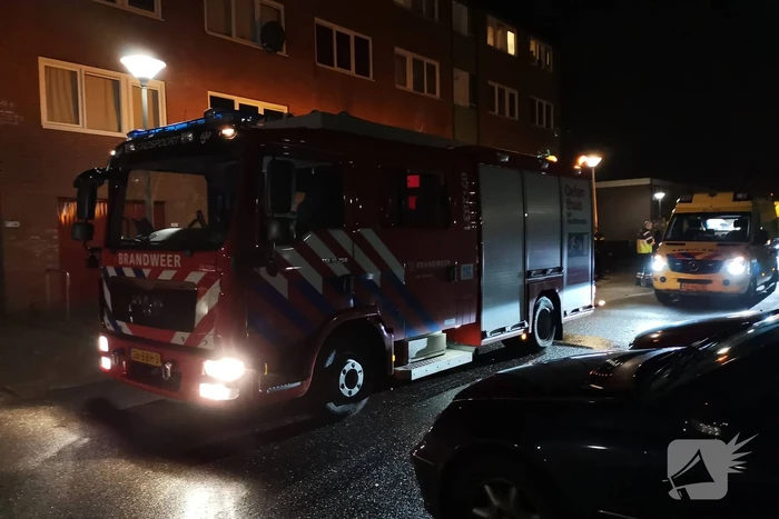 nieuws vanenburg ede