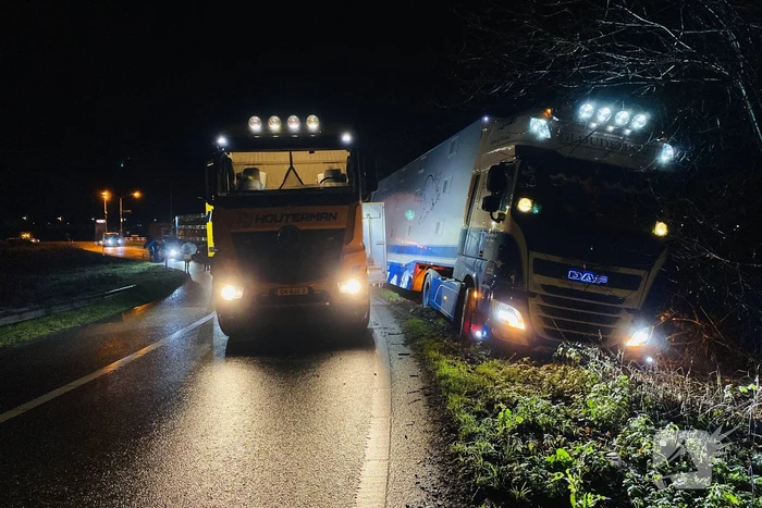 Vrachtwagen met varkens belandt naast de weg
