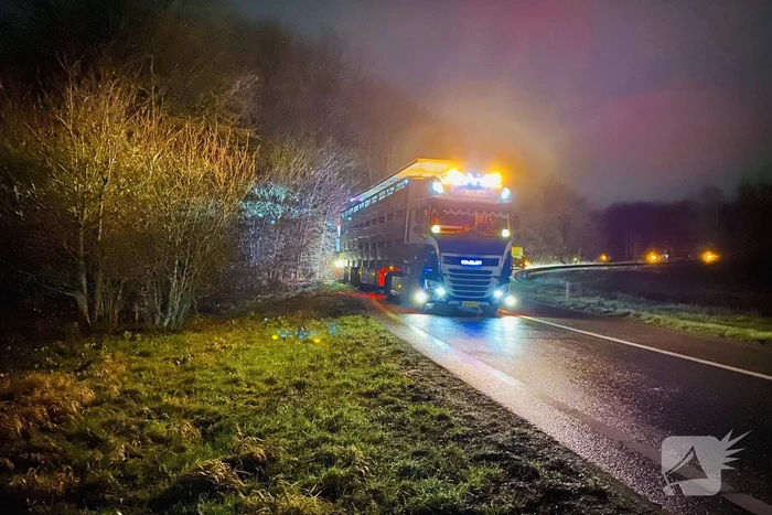 Vrachtwagen met varkens belandt naast de weg