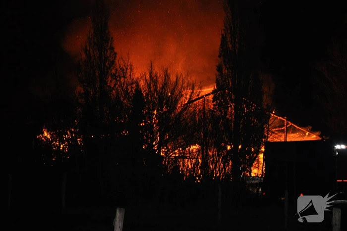 Paarden gered van grote brand op manege
