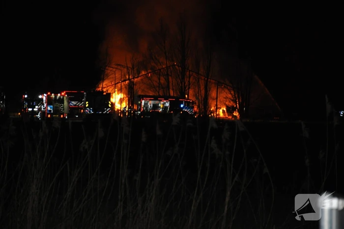 Paarden gered van grote brand op manege
