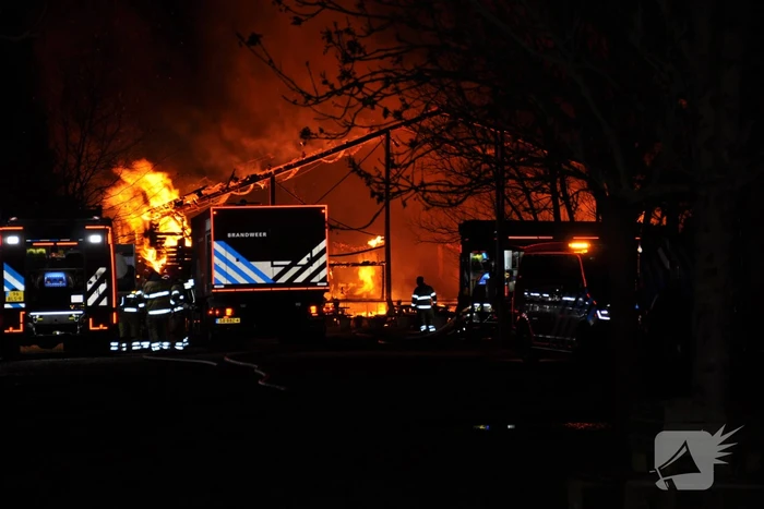Paarden gered van grote brand op manege