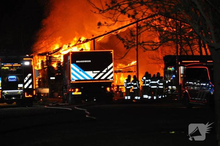Paarden gered van grote brand op manege