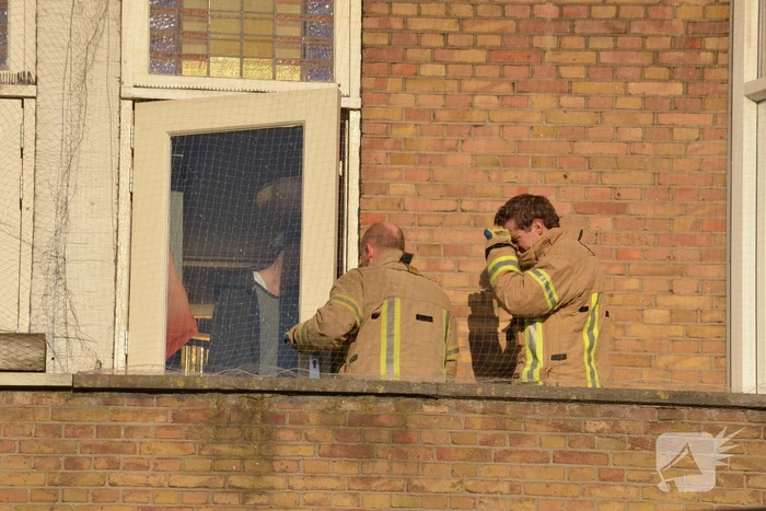Duif door brandweer uit een net gehaald