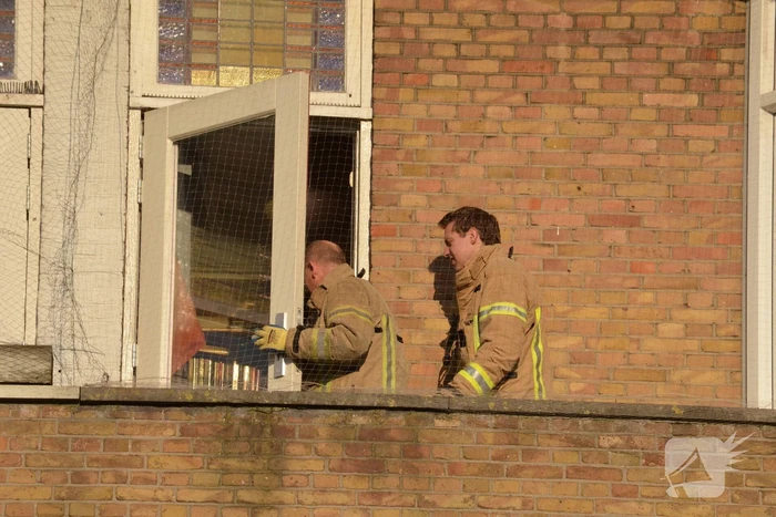 Duif door brandweer uit een net gehaald