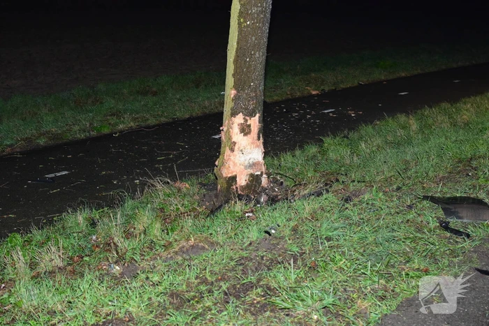 Auto total loss na eenzijdige botsing op boom