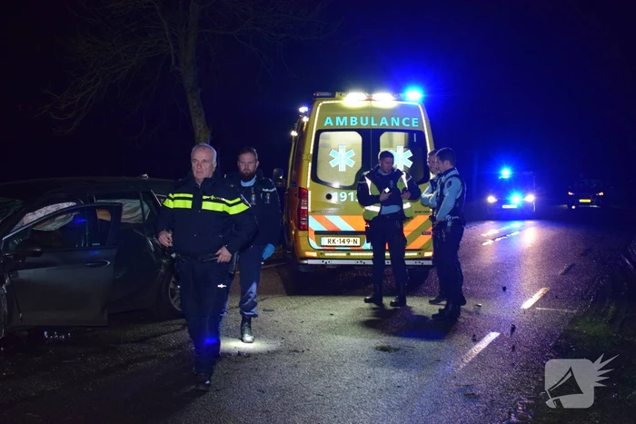 Auto total loss na eenzijdige botsing op boom
