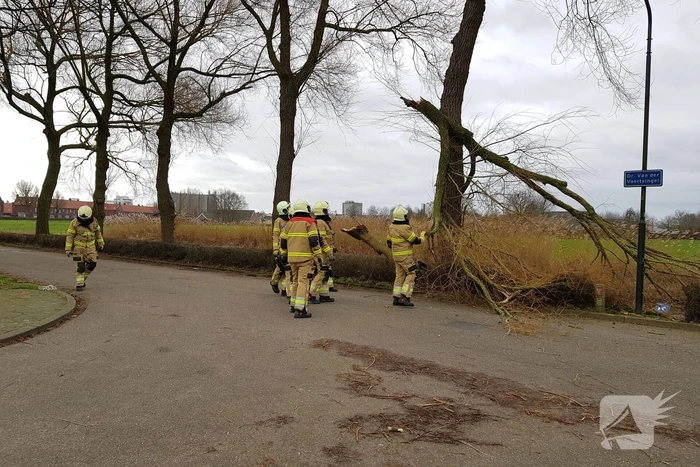 Grote takken vallen op wegdek door storm